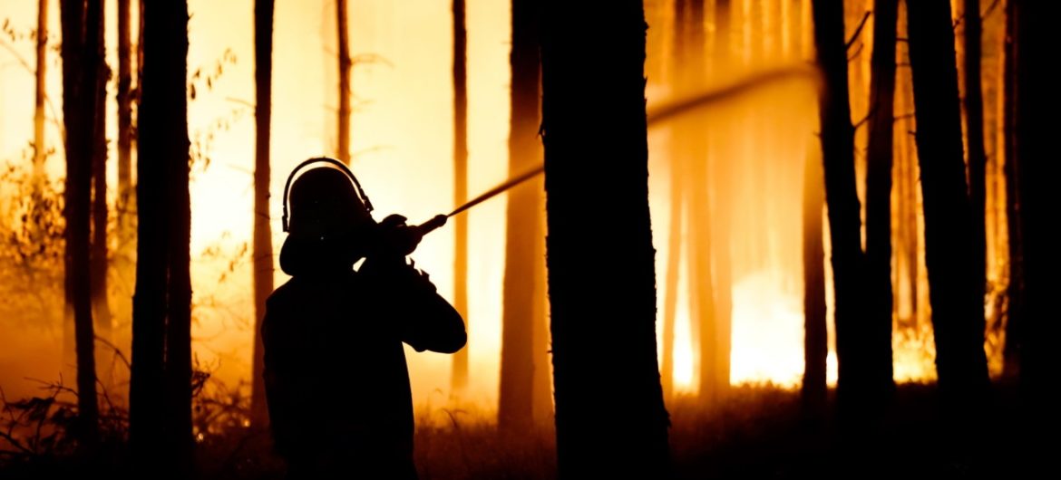 Ogromny pożar lasu pod Berlinem. Ewakuowano trzy miejscowości