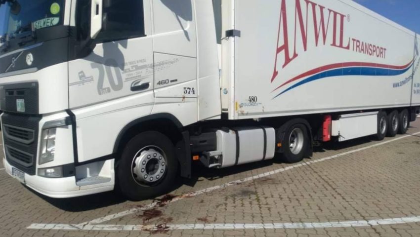 Na parkingu w Niemczech znaleziono ciało martwego Polaka