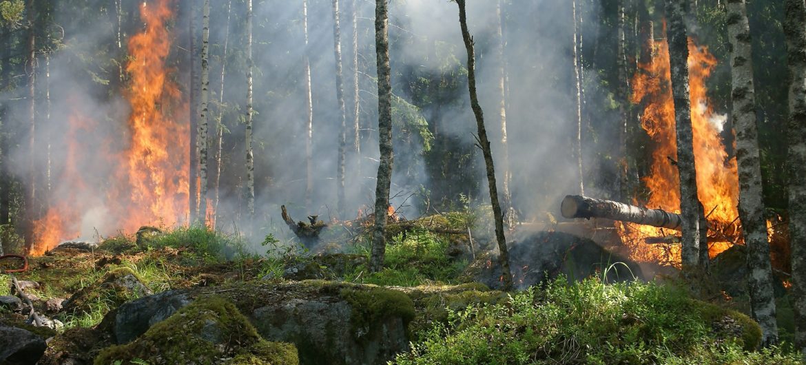 Strażnik graniczny świętował narodziny potomka. Drogo za to zapłaci