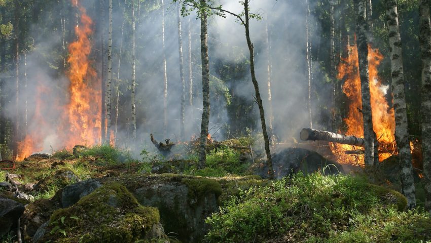 Strażnik graniczny świętował narodziny potomka. Drogo za to zapłaci