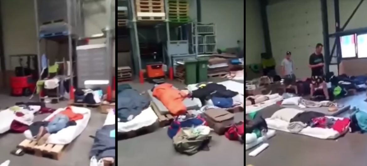 Dramatyczne warunki życia polskich pracowników w Holandii “Gorzej niż bydło”