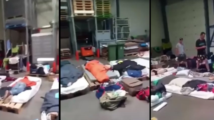 Dramatyczne warunki życia polskich pracowników w Holandii “Gorzej niż bydło”