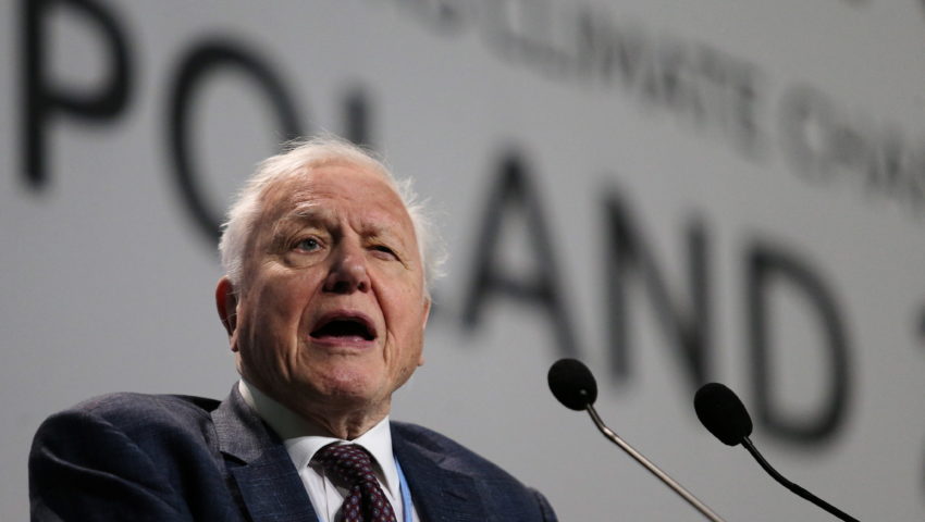 Dramatyczny apel sir Davida Attenborough w trakcie szczytu klimatycznego. Te słowa budzą grozę!