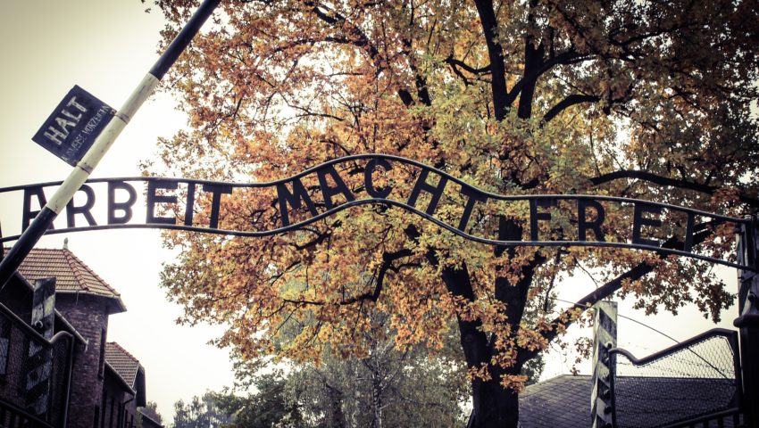 Wicepremier Gliński zapowiada spotkanie ws. wyjaśnienia sporu wokół obchodów rocznicy wyzwolenia obozu Auschwitz