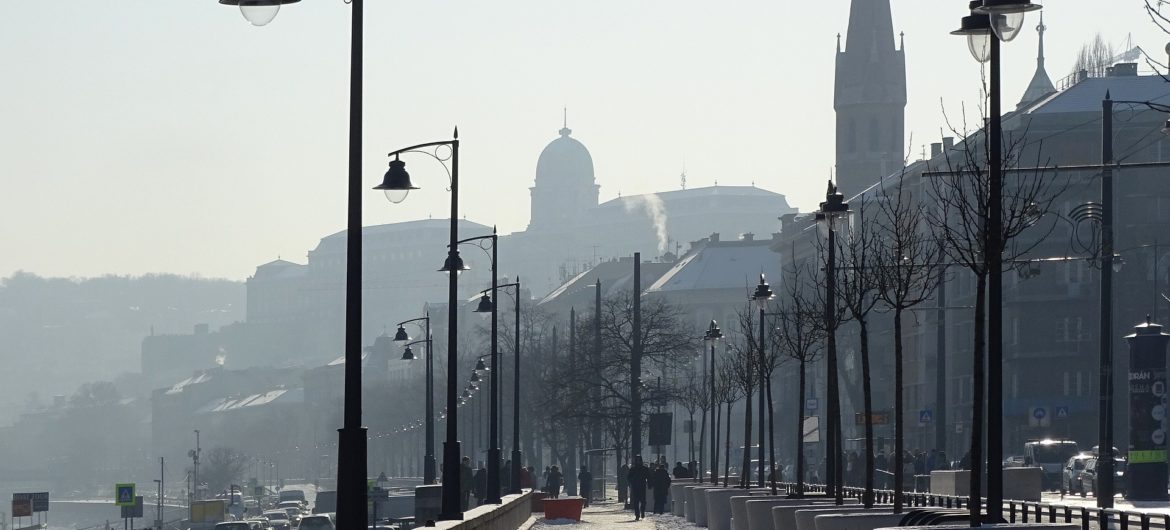 Epidemia grypy na Węgrzech. Blisko 20 tysięcy pacjentów trafiło do lekarzy w ciągu 4 dni