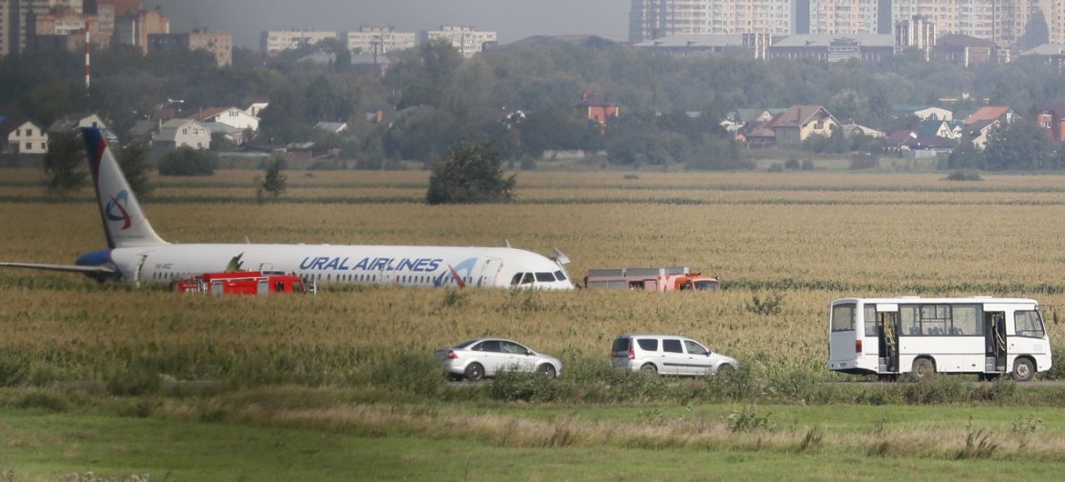 O krok od tragedii: rosyjski samolot lądował w polu po kolizji z ptakami