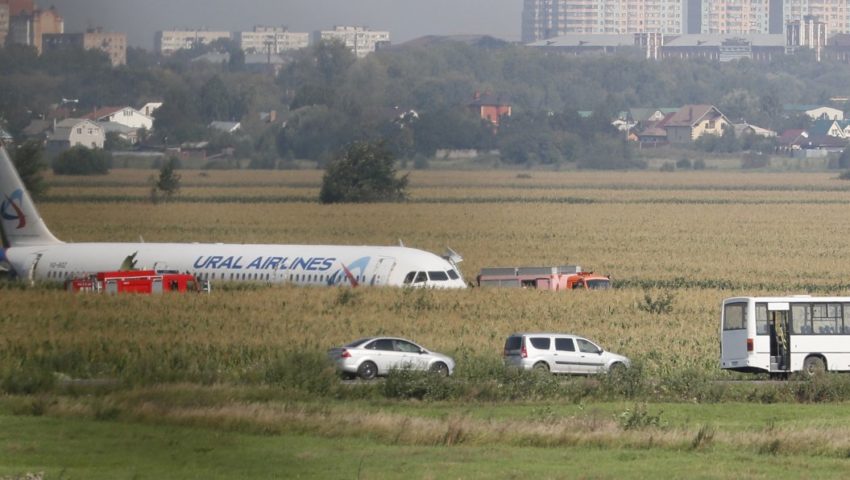 O krok od tragedii: rosyjski samolot lądował w polu po kolizji z ptakami