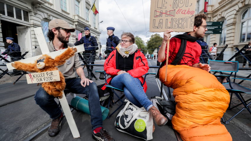 Klimatyczni aktywiści dostają pieniądze za udział w protestach
