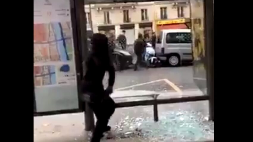Ten filmik musisz koniecznie zobaczyć! Totalna kompromitacja Antify w starciu z… przystankiem autobusowym
