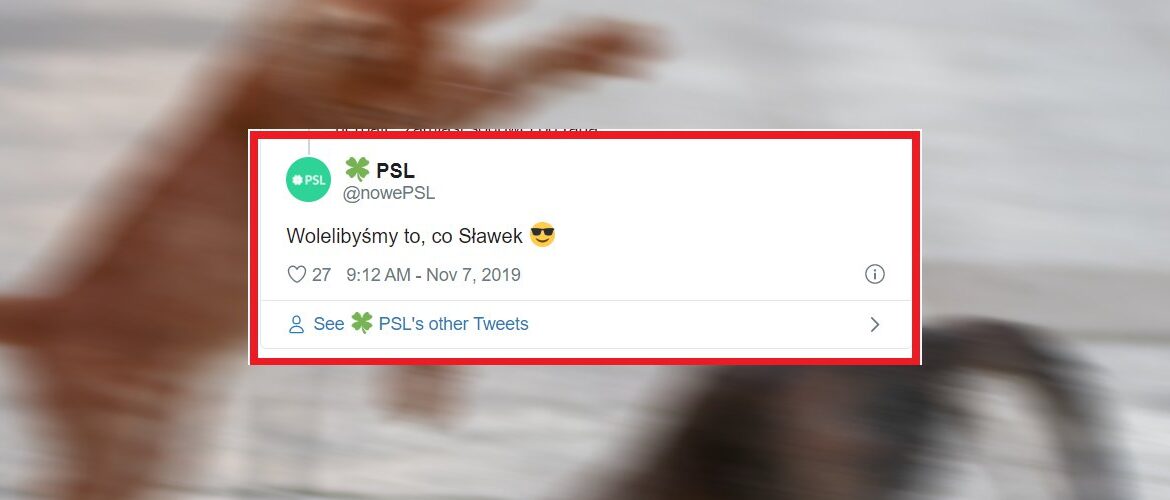 Ależ tam się kłócą. Poseł PO porównał Kosiniaka-Kamysza do Petru. Cięta riposta PSL.