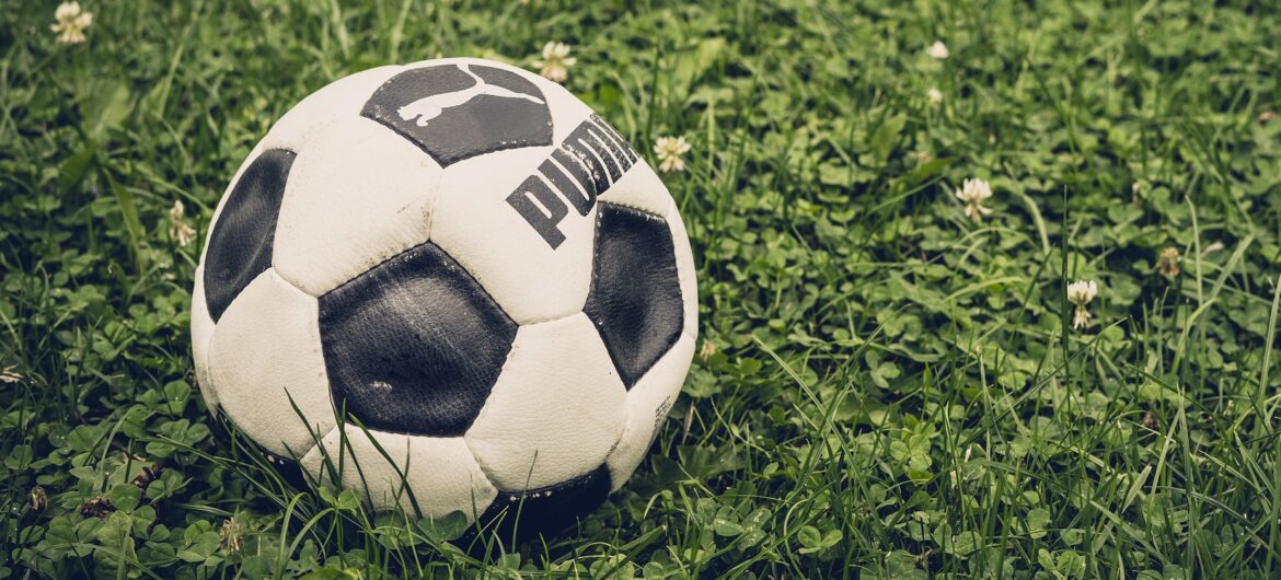 Kibice handlują szczęśliwą trawą. “Dała” awans FC Koeln do Bundesligi