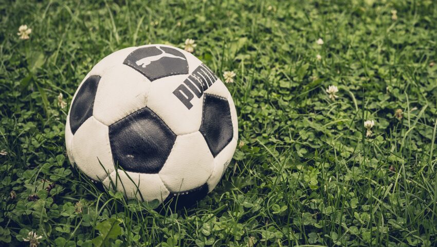 Kibice handlują szczęśliwą trawą. “Dała” awans FC Koeln do Bundesligi