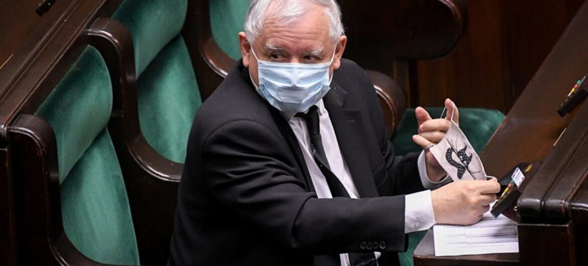 To prawdziwy rarytas. Prezes Jarosław Kaczyński będzie nosił maseczkę z kotem?
