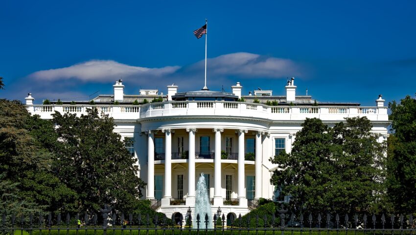 Musk odchodzi z administracji Trumpa? Miliarder zabrał głos