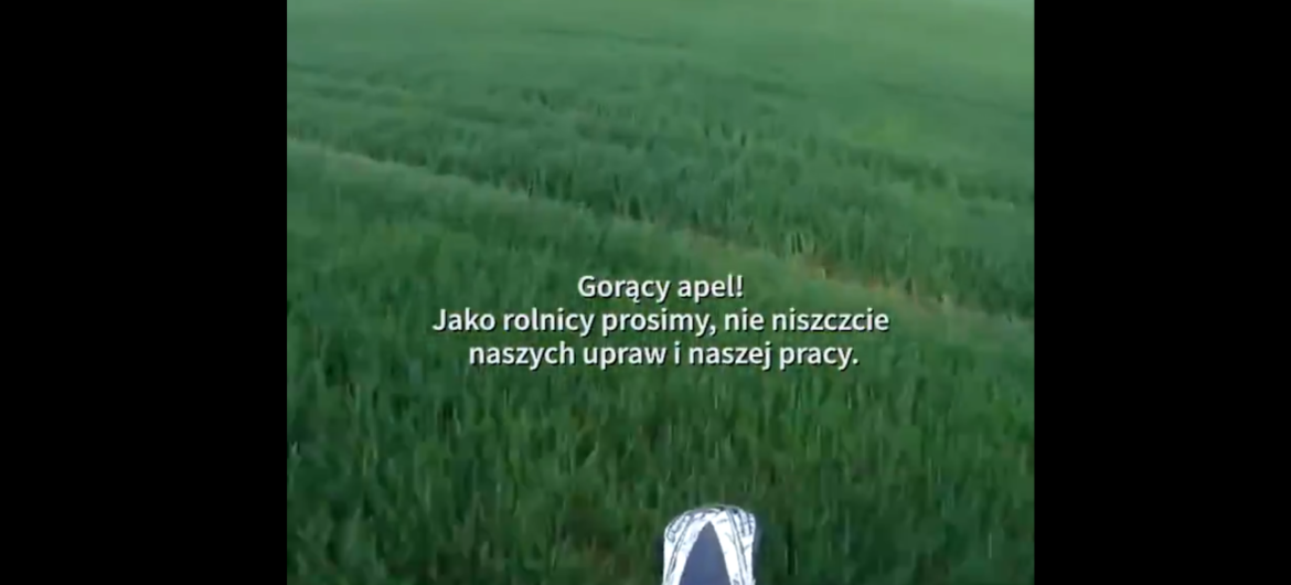 Motocykliści dla zabawy niszczą uprawy rolnikom. Kim trzeba być, żeby robić coś takiego?