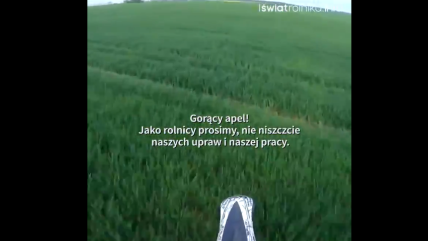 Motocykliści dla zabawy niszczą uprawy rolnikom. Kim trzeba być, żeby robić coś takiego?