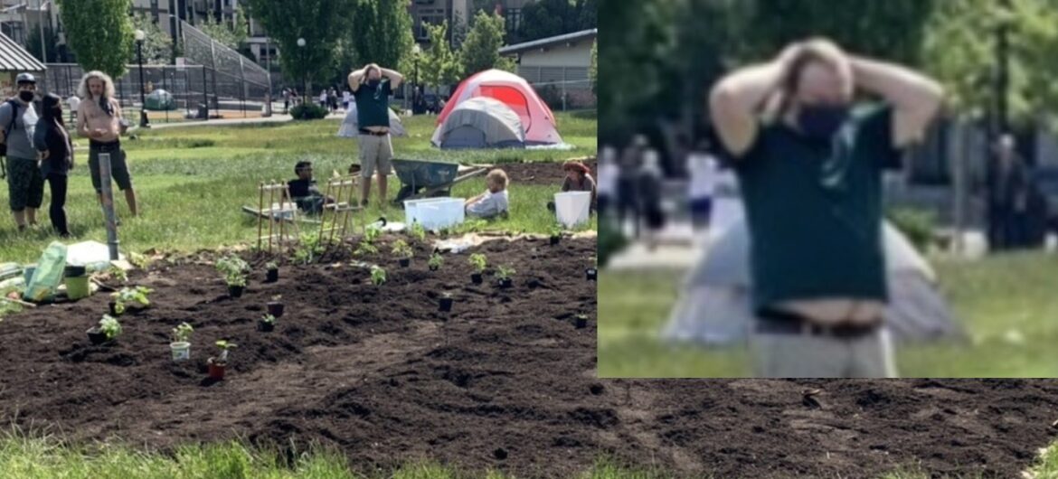 To trzeba zobaczyć! Antifa wzięła się za rolnictwo