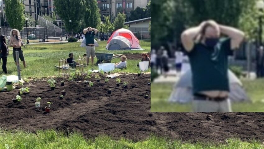 To trzeba zobaczyć! Antifa wzięła się za rolnictwo