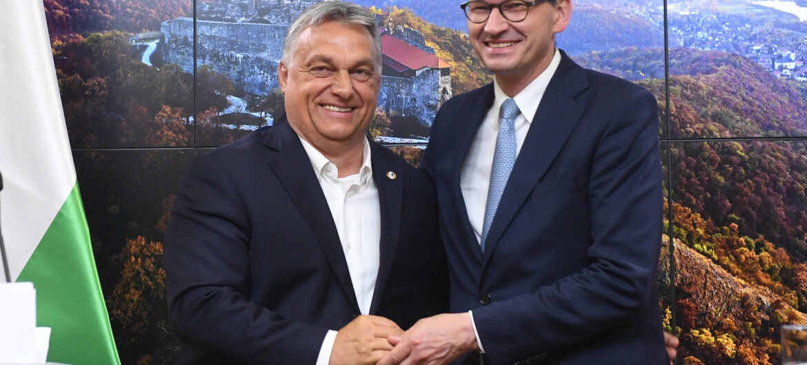 O co chodzi z tą praworządnością? Wyjaśniamy!