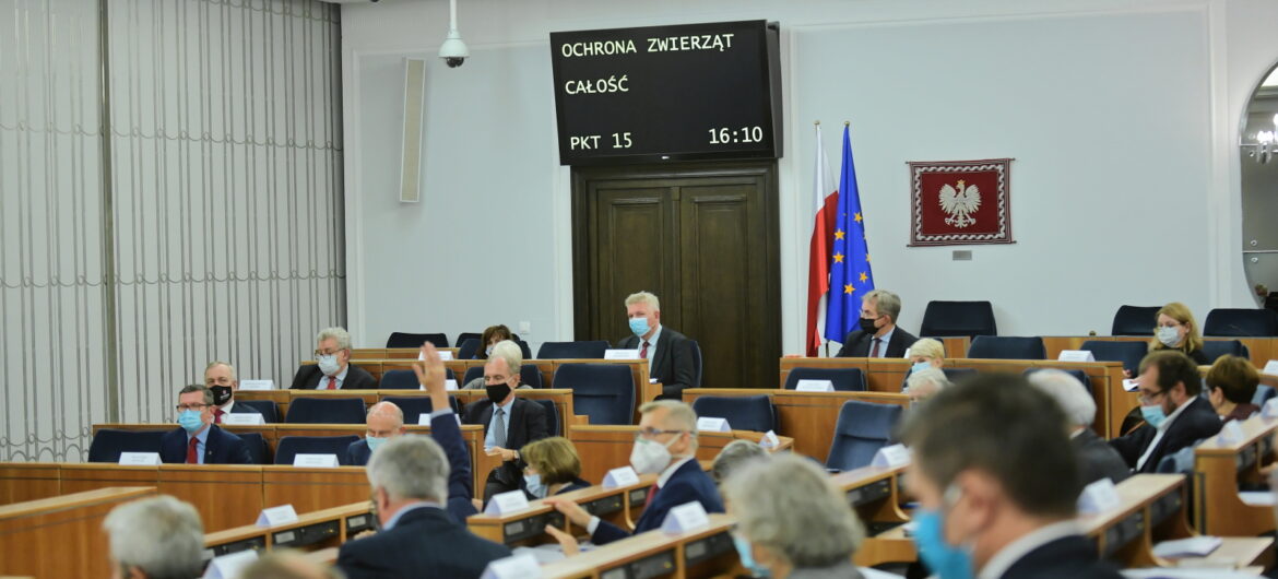 Senacka Komisja Budżetu i Finansów Publicznych wprowadziła poprawki do ustawy o CIT. Odrzucono poprawki do ustawy proponowane przez Krajową Radę Spółdzielczą