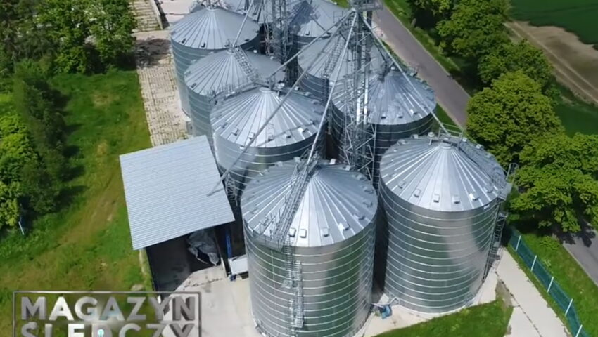 Okradli polskich rolników na miliony złotych. Kulisy gigantycznej afery zbożowej