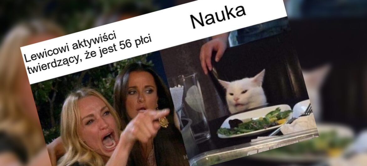 Śmiejesz się z prawicowych żartów? To wkrótce możesz mieć problem. Unia idzie na wojnę z… memami