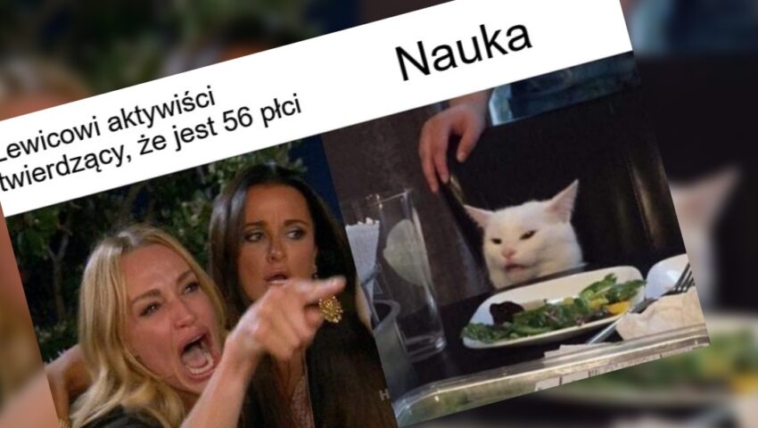 Śmiejesz się z prawicowych żartów? To wkrótce możesz mieć problem. Unia idzie na wojnę z… memami