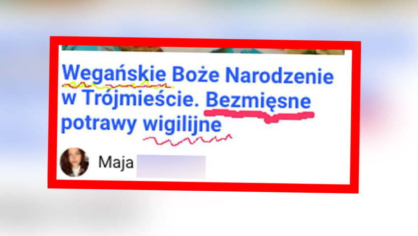 Dziennikarka “Dziennika Bałtyckiego” zastanawia się, jak urządzić “wegańskie Boże Narodzenie” i “bezmięsną Wigilię”? Internauci doradzają