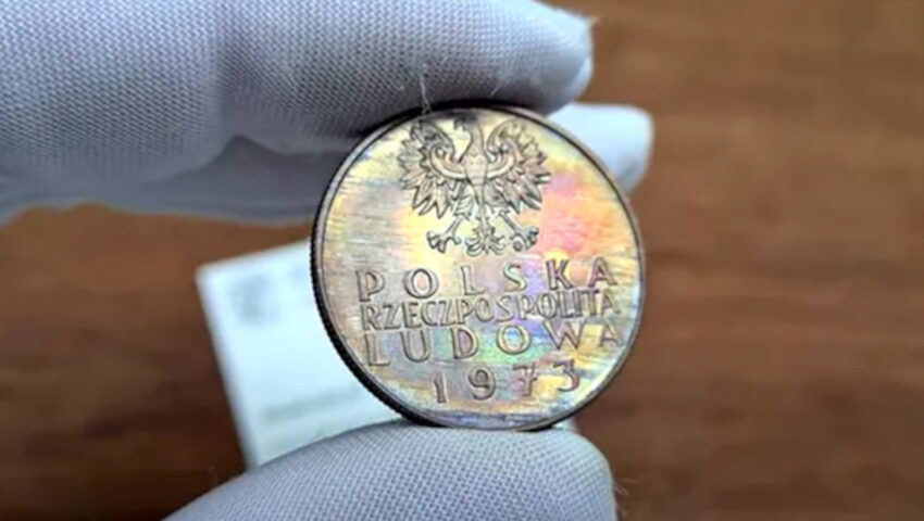 Kolekcjonerzy polują na monety z PRL. Warto przeszukać szuflady, bo oferują za nie dziesiątki tysięcy złotych