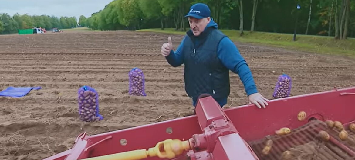 To jest HIT. Łukaszenka wystąpił w teledysku sławiącym ziemniaka!