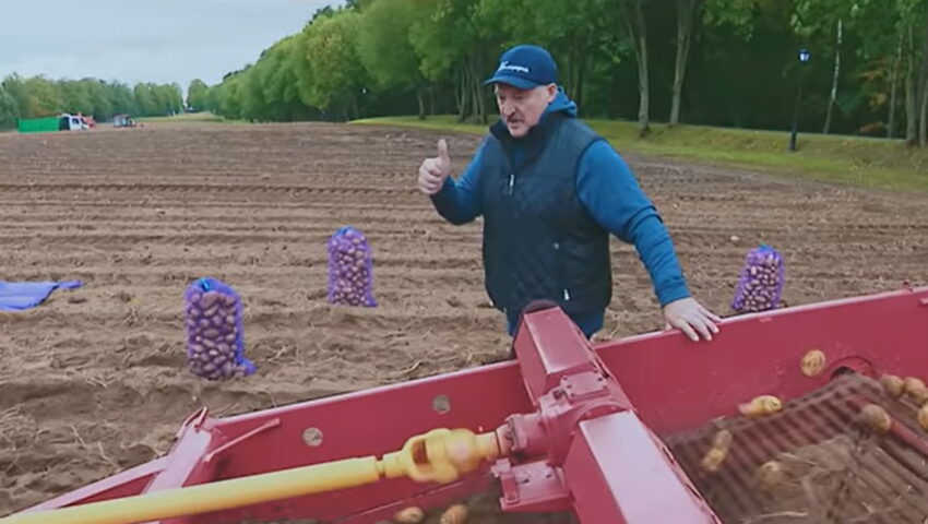 To jest HIT. Łukaszenka wystąpił w teledysku sławiącym ziemniaka!