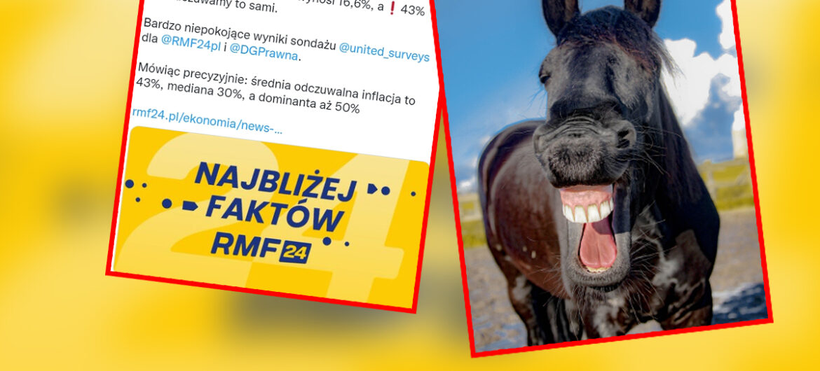 Hit! Dziennikarze ekonomiczni RMF sprawdzili inflację sondażem. Internet był dla nich bezlitosny