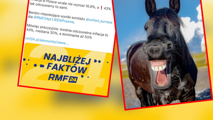 Hit! Dziennikarze ekonomiczni RMF sprawdzili inflację sondażem. Internet był dla nich bezlitosny