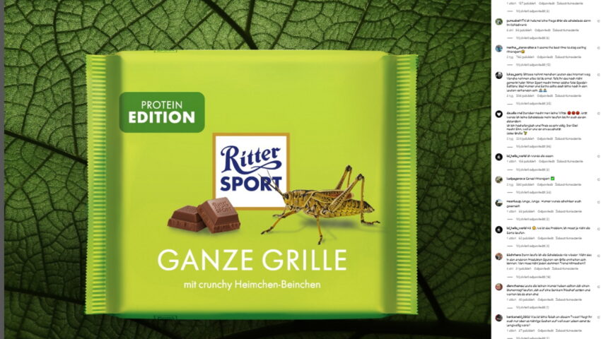 Czekolada ze świerszczami? Niemiecki gigant zaproponował nowy produkt