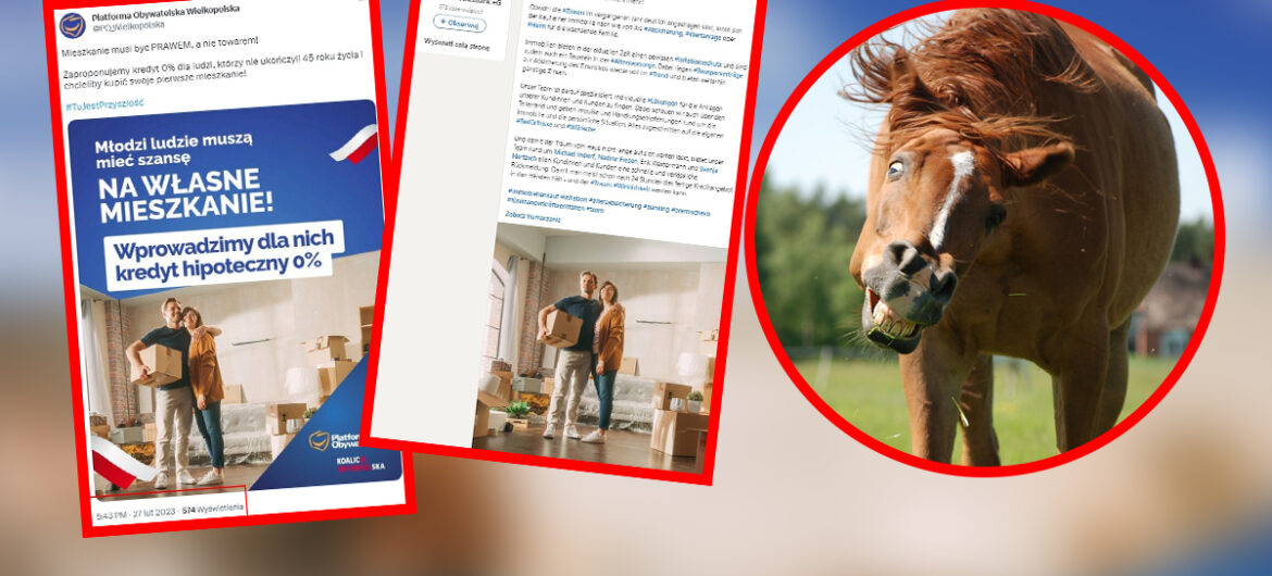 Kompromitacja! Pomysł Tuska “Mieszkanie dla młodych” reklamują te same grafiki, którymi niemiecki bank… zachęca do kupna nieruchomości