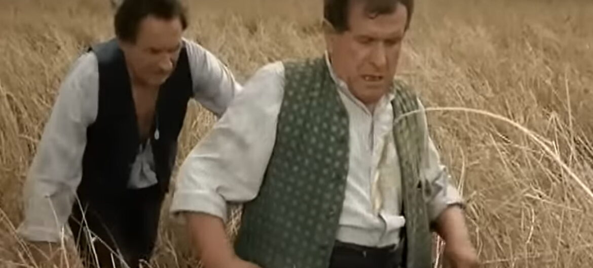 Czeka nas powrót kultowego polskiego filmu. Będą nowi “Sami swoi”!