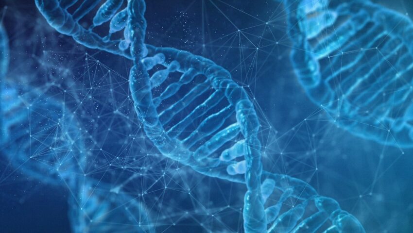 Profesor biologii stracił pracę, bo powiedział studentom, że płeć determinują chromosomy