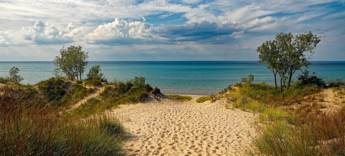W morzu pojawił się nieznany dotąd stwór o 24 oczach. Plażowicze nie będą zachwyceni