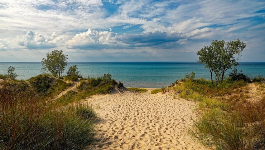 W morzu pojawił się nieznany dotąd stwór o 24 oczach. Plażowicze nie będą zachwyceni