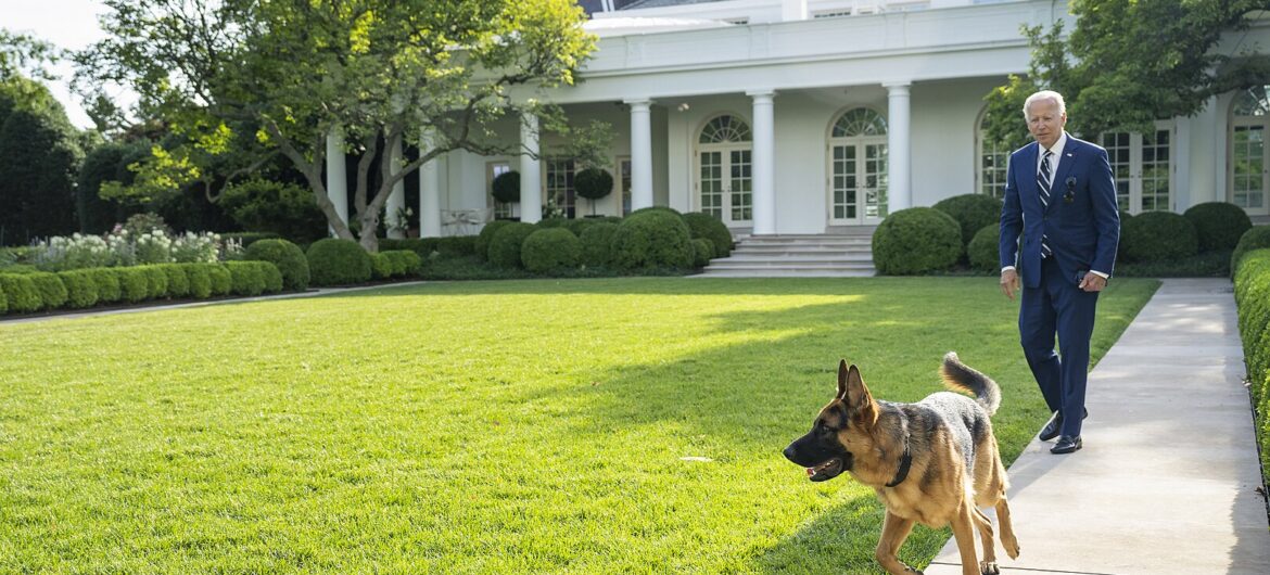 Pies Bidena znowu pogryzł agentkę Secret Service