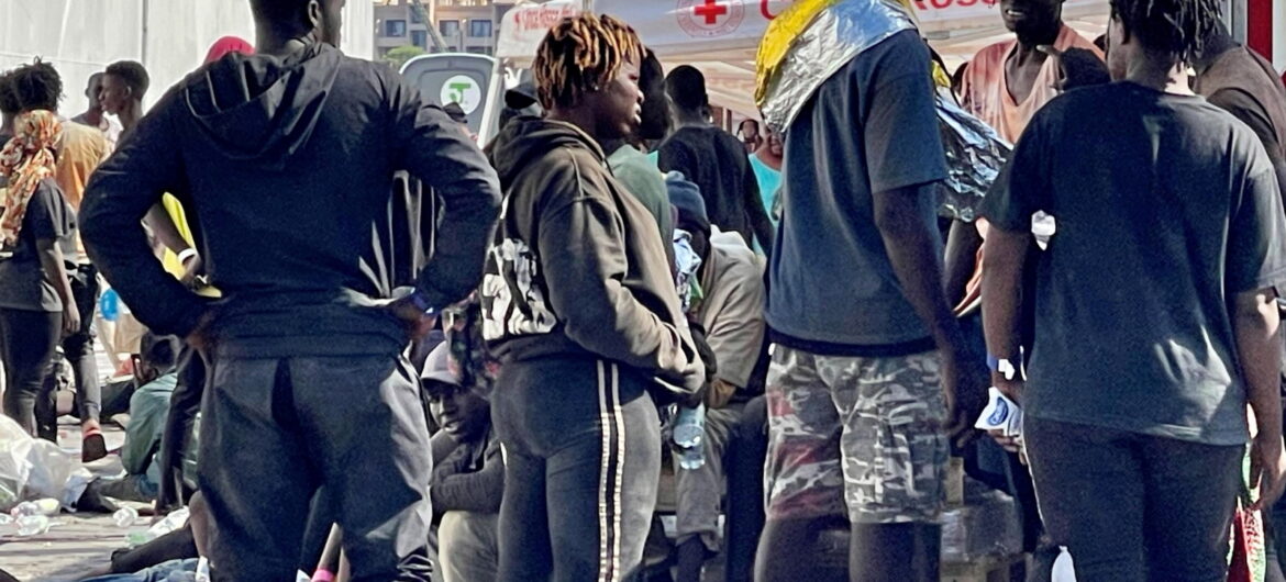 Niemiecki europoseł ma nadzieję, że jego przyjaciele z PO wpuszczą do Polski nielegalnych imigrantów