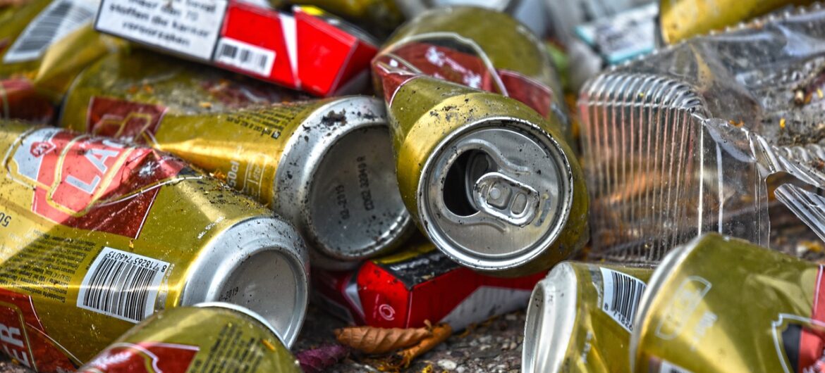 Plaga pluskiew w Paryżu. Rząd bagatelizuje problem: nie popadajmy w psychozę