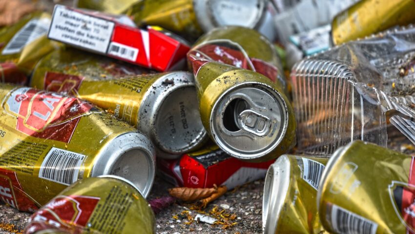 Plaga pluskiew w Paryżu. Rząd bagatelizuje problem: nie popadajmy w psychozę
