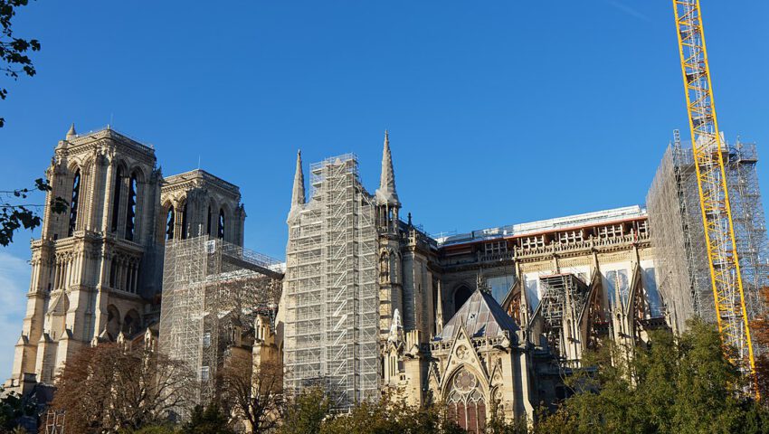 Na Notre Dame wrócił złoty kogut