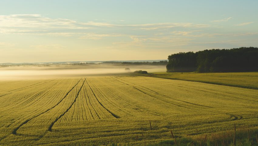 Zadzwoniła do męża i powiedziała, że złamała nogę. Jej ciało zaleziono na polu pod Krakowem