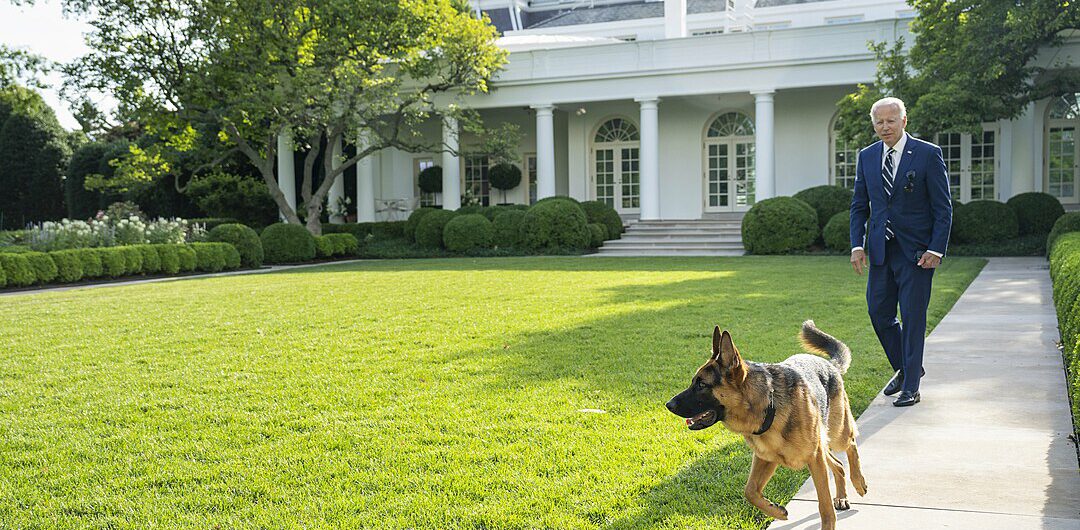 Pies Bidena uwielbiał gryźć agentów Secret Service