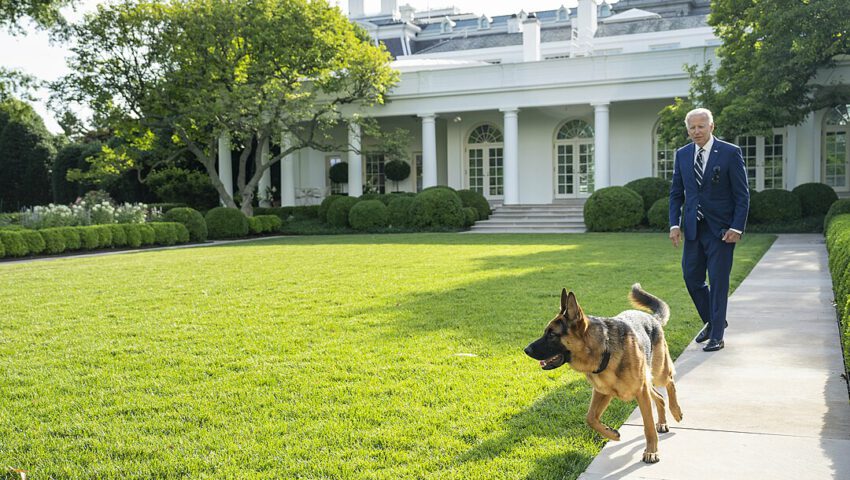 Pies Bidena uwielbiał gryźć agentów Secret Service
