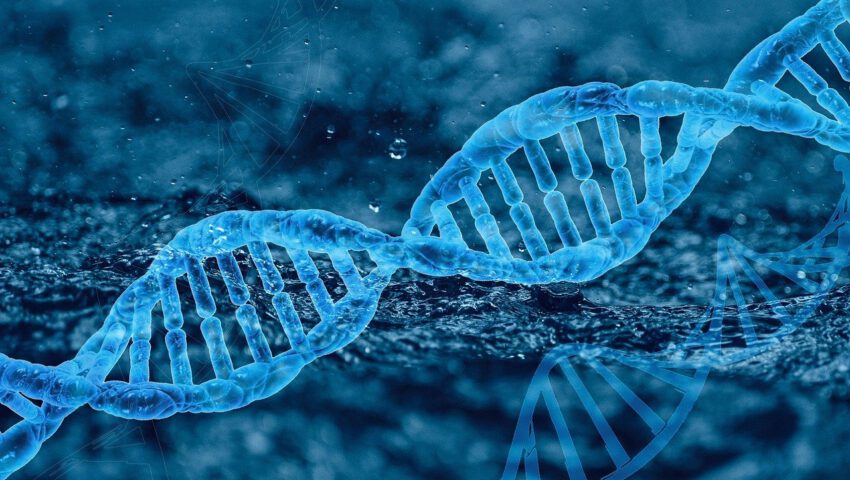 Nauczyciel biologii stracił pracę, bo uczył, że za płeć odpowiadają chromosomy. Uczelnia wystraszyła się procesu