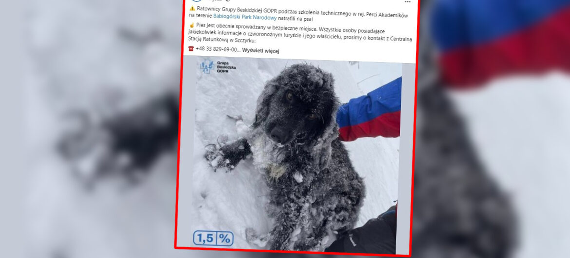 Wystarczyła chwila, a byłoby za późno! Niezwykłe znalezisko na szczycie Babiej Góry