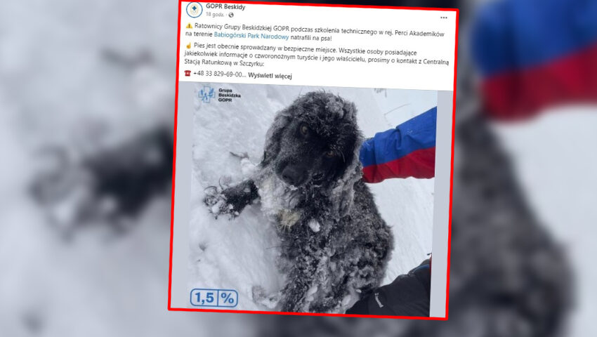 Wystarczyła chwila, a byłoby za późno! Niezwykłe znalezisko na szczycie Babiej Góry